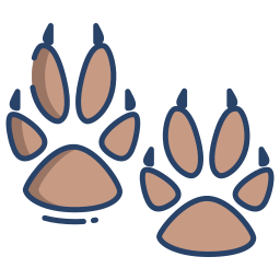 Paw icon