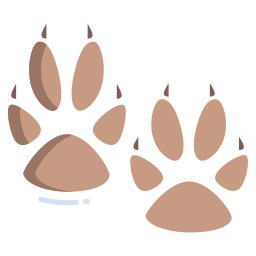 Paw icon