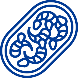 마늘 새우 icon