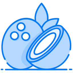 Coconut icon