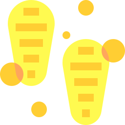 voetstap icoon