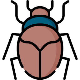 Scarab icon
