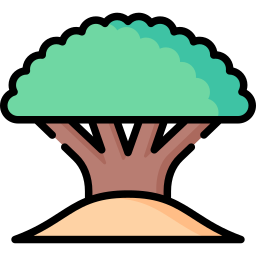 sokotra-baum icon