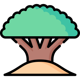 Socotra tree icon