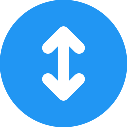 Double arrow icon