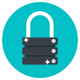 Data security icon