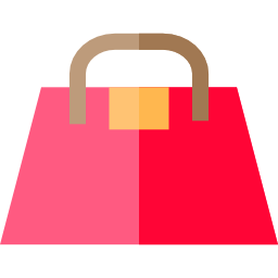 Women bag icon