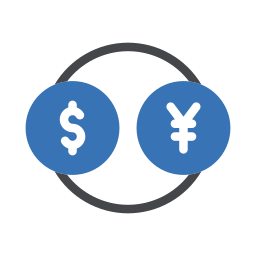 Currency icon