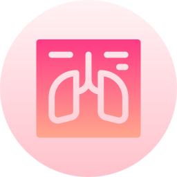 Lungs icon