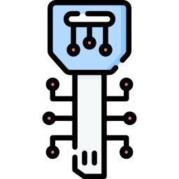 Digital key icon