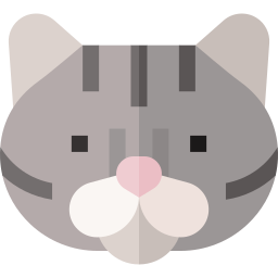 Американская короткошерстная кошка иконка