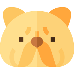 Himalayan cat icon