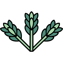 asparago icona
