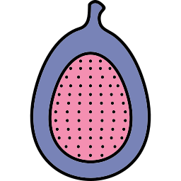 Fig icon