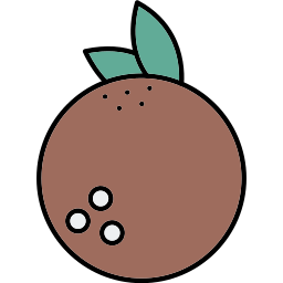 Coconut icon