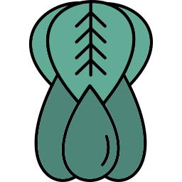 Bok choy icon