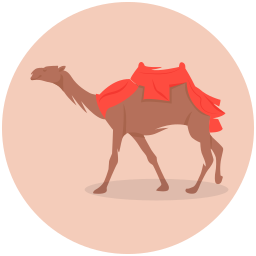 Camel icon