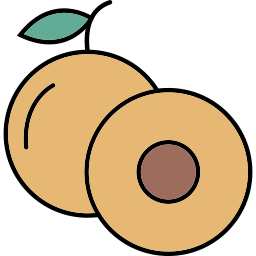 Longan icon