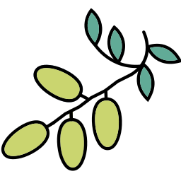 olijven icoon