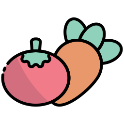 Healthy food icon