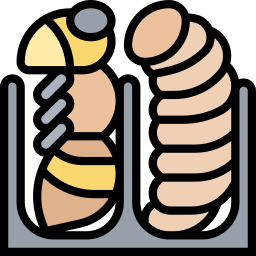 larva Ícone