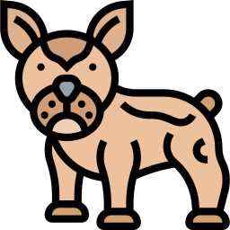 bulldog francés icono