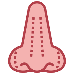 Rhinoplasty icon
