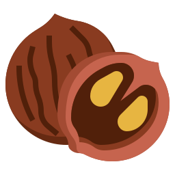 Walnut icon