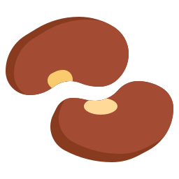 Kidney icon