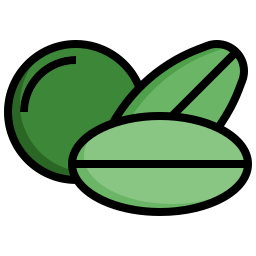 Lentil icon