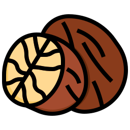 Nutmeg icon