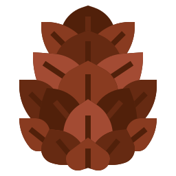 Pine nut icon