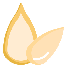 semente de abóbora Ícone
