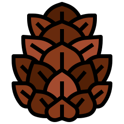 Pine nut icon