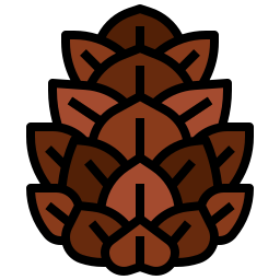 Кедровый орех иконка