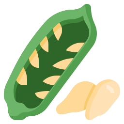 Sesame icon