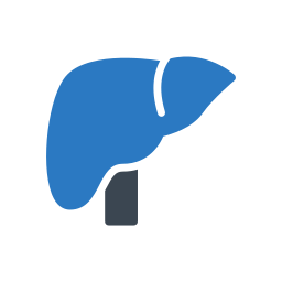 Liver organ icon