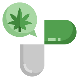 Capsule icon