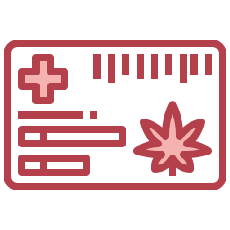 Medical card icon