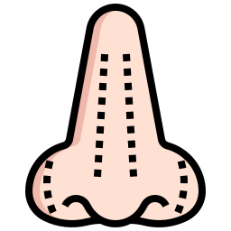 Rhinoplasty icon