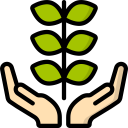 aceituna icono