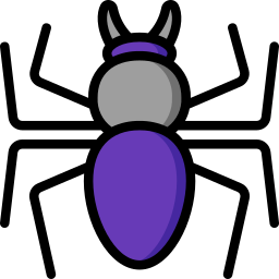 Spider icon