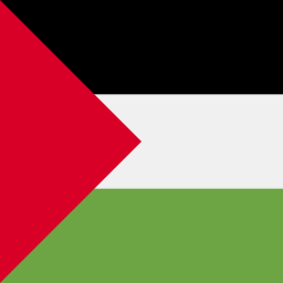 palestina icono