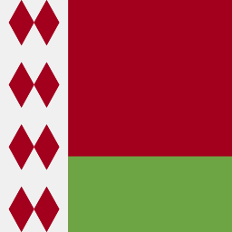 벨라루스 icon