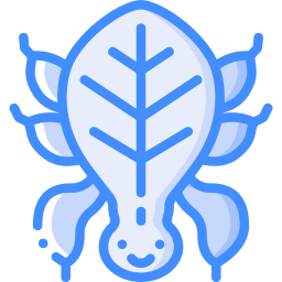 벌레 잎 icon