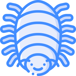 Insect icon