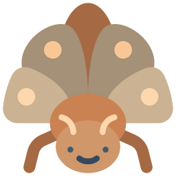 Moth icon