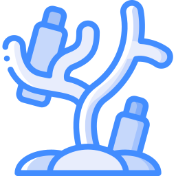 coral icono