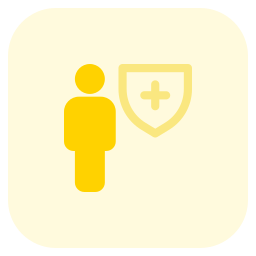 Shield variant icon
