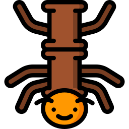 Stick insect icon